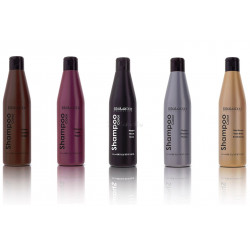 Champú de Color Salerm 250ml para el mantenimiento del color (Varios tonos)