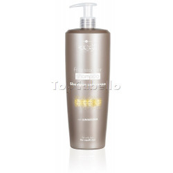 Champú Antiencrespamiento Hair Company 1000ml