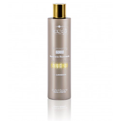 Mascarilla Iluminadora Brillo Hair Company 200ml