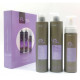PACK Cabellos Rizados E-LINE CURLY Eva Professional (Champú+Acondicionador+Espuma)