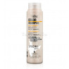 Champú Cabellos Coloreados TERRA COLOR Duradero - 100% VEGANO - Lendan 300ml