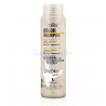 Champú Cabellos Coloreados TERRA COLOR Duradero - 100% VEGANO - Lendan 1000ml