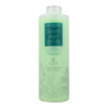 Balsamo acondicionador Algas Glycolic LENDAN 1000ml