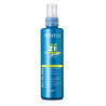 Spray All-in-One Salerm 21 Express 190ml