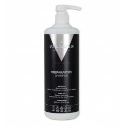 Champu Preparador Tratamientos Capilares BTX Valquer 1000ml