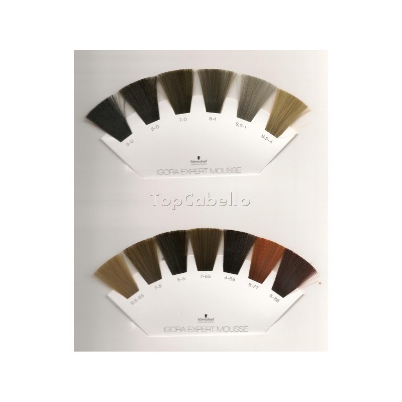 Mascarilla de Color DIVINA COLOR STUDIO Eva Professional 200ml -  TopCabello. Tienda Online de productos de peluquería y estética.