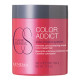 Mascarilla Protectora del color Color Addict LENDAN 500ml