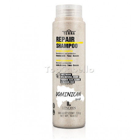 Champú Liso Brillante TERRA SMOOTH - Sin Parabenos ni Siliconas - Japanesse Spirit - Lendan 300ml