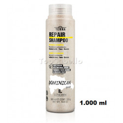 Champú Liso Brillante TERRA SMOOTH - Sin Parabenos ni Siliconas - Japanesse Spirit - Lendan 1000ml