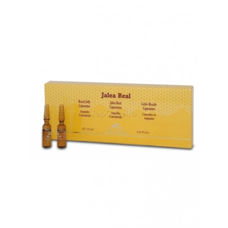 Ampollas Concentrado Jalea Real Bel Shanabel 12x2ml