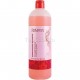 Champú Pomegranate Salerm 1000ml