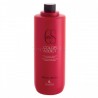 Champu Color Addict LENDAN 1000ml