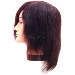 Maniquí pelo natural Caballero Sin Barba 15-18cm Eurostil