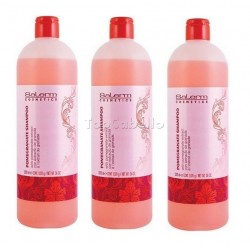 Pack 3 UDS Champú Pomegranate Salerm 1000ml