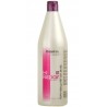Champú HI-REPAIR Salerm 1000 ml 